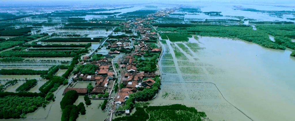©Boskalis Eco shaping the future - Building with Nature Java