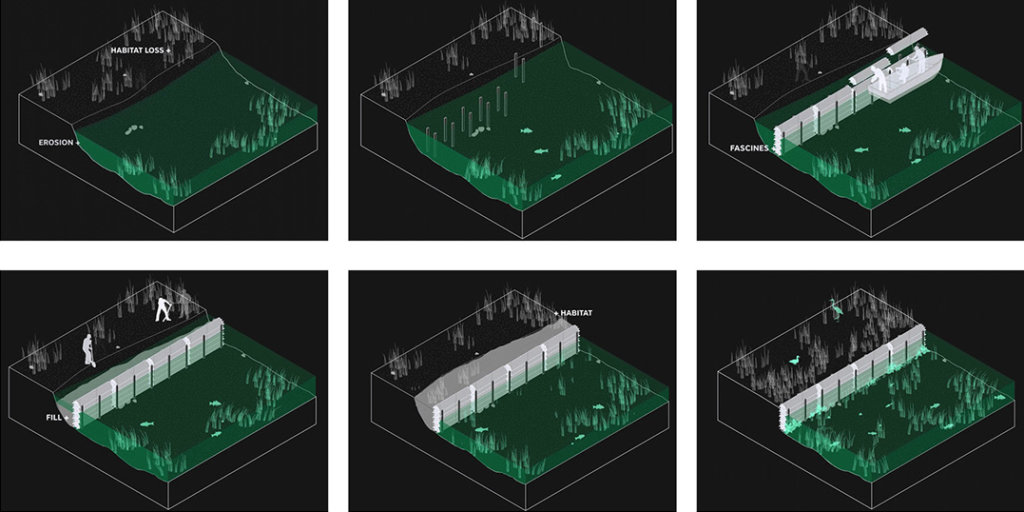 © SCAPE Landscape Architecture
