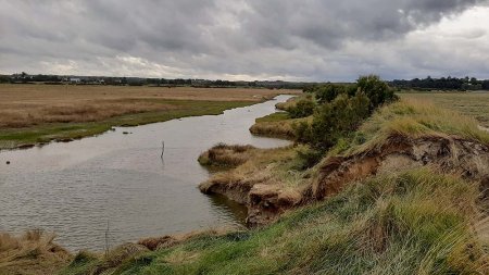 L'évolution du site du marais de Beaussais ©Conservatoire du Littoral