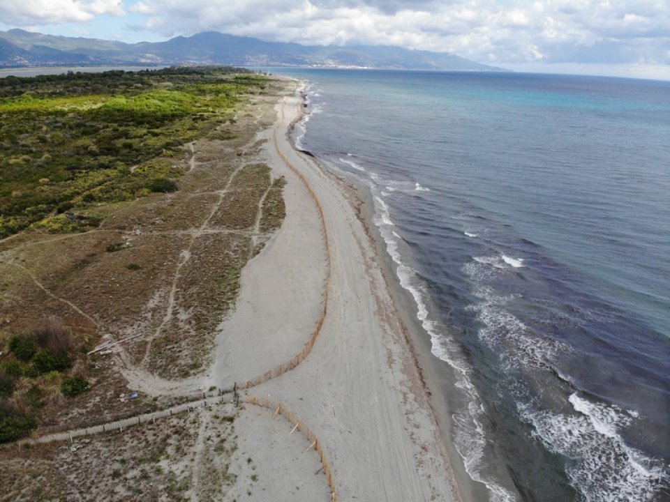 Restauration du cordon dunaire de Pineto Poretta sur la commune de Borgo ©Conservatoire du Littoral